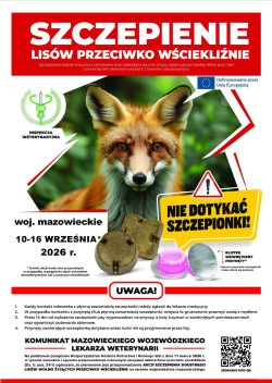 Zdjęcie do komunikatu: Szczepienie lisów przeciwko wściekliźnie